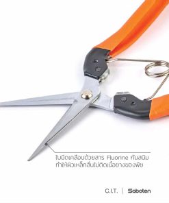 02_Saboen-AG-9