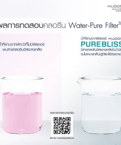 03_Purebliss-Shower-Filter