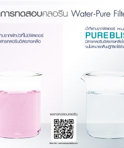 08 Kudos Purebliss