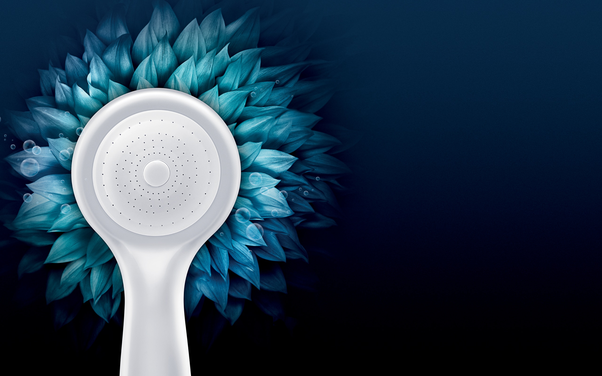purebliss 2560 x 1600 -