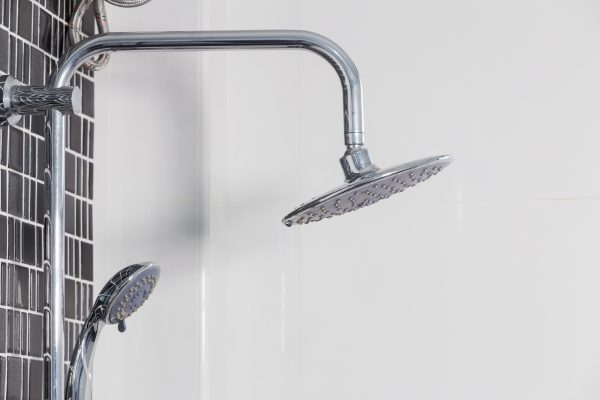 close up bird bathroom -