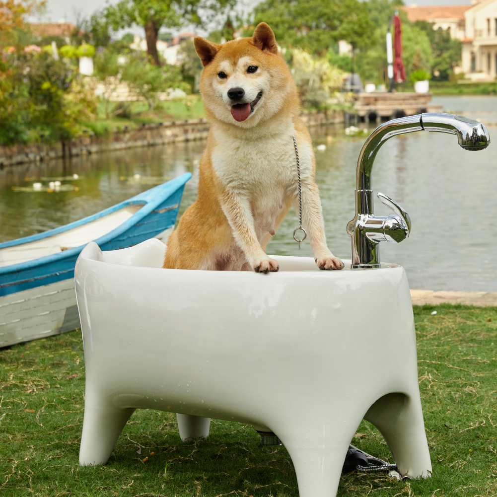 mini pet bathtub2 66556223e92d9 -
