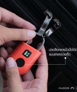 igloo padlock lite 4 -