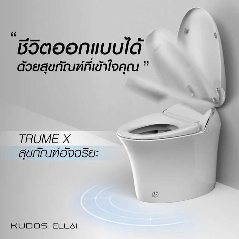 trumeX 01 -
