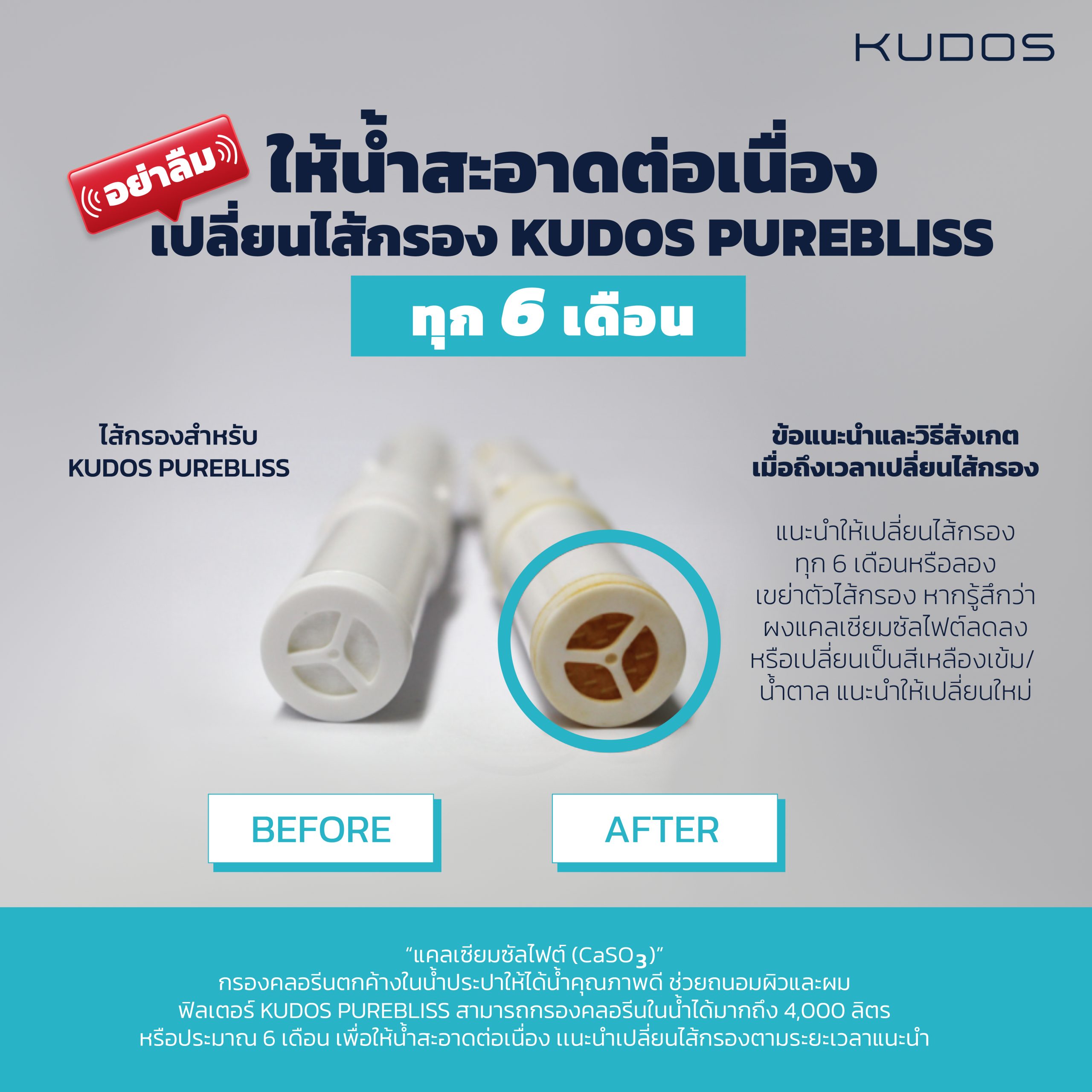 เปลี่ยนไส้กรองเพียวบลิช scaled -