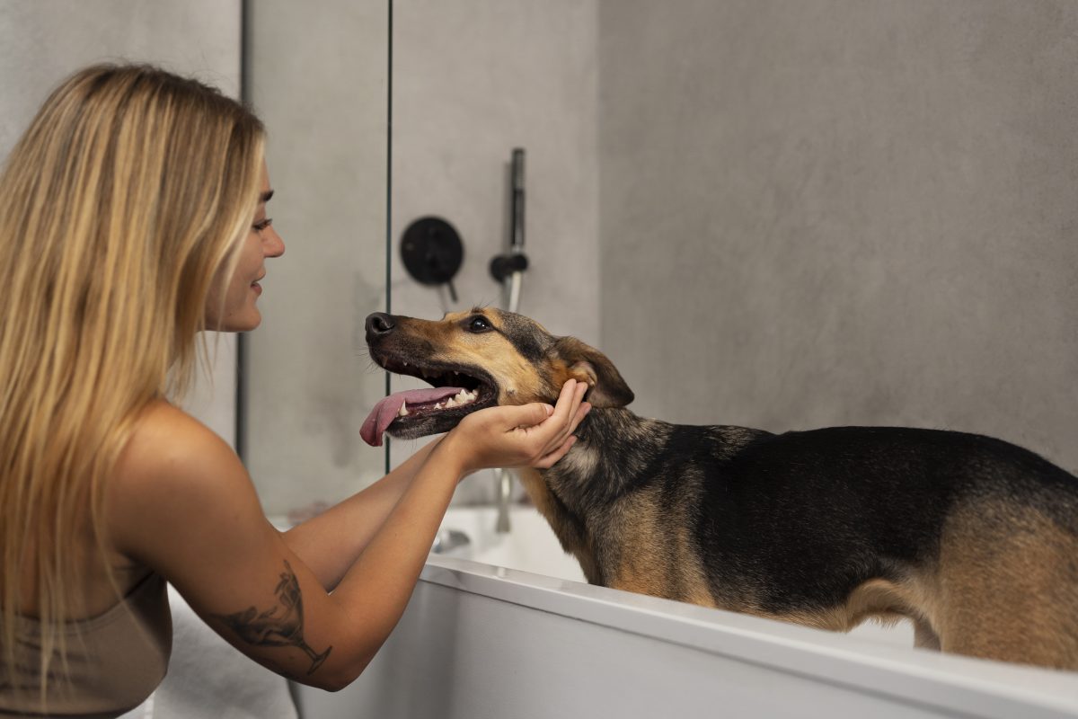 woman washing cute dog side view -