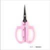 AnyConv.com th 11134207 7r98y ly20v0e9rky7ff -